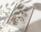 Oyster Wall Art Print