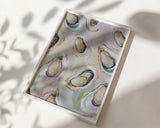 Oyster Wall Art Print